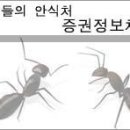 [2월 26일 코스피200종목위주, 코스닥 100종목위주 매수세 강세 종목별안간 대형수출관련주 매도세가 많아졌어요-] 이미지