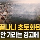 홍수 끝나니 초토화된 밀림…물·불 안 가리는 경고에 '공포' (자막뉴스) / SBS 이미지