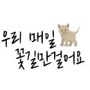 수연헤어 - 부안군 번영로 132 | 수연헤어