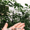 스타키보청기 구로센터 이미지