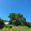 하늘빛투 이미지