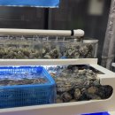 천안조개창고 | 천안 백석동 조개 구이 맛집 조개창고 방문후기 가격과 메뉴