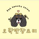 오락반장요미