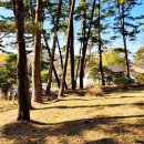 들레목장 이미지