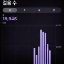 (주)게임크루 | 배민비마트 일일크루 후기