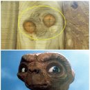 이티농장 이미지