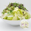 샐러드로 이미지