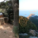 흑산 진리당 이미지