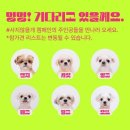 중사지농장 이미지