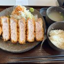 한미약품 푸르지오(55315) 이미지