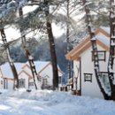 월드보안(주)