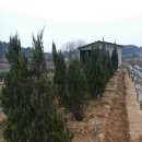 블루엔젤 하우스 이미지