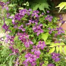 목인박물관 이미지