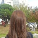 다인헤어 이미지