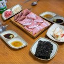밍크고래와 참다랑어 이미지