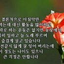 해피쏭쏭님 투병기입니다 이미지