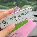 꽃사슴 | 아이랑 강릉 여행 대관령자연휴양림 숲속의 집 꽃사슴 찐 후기