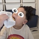 금산로 | 금정역 사과당 산본점 사과파이, 가벼운 선물로 딱 좋았어요 (선물 후기)