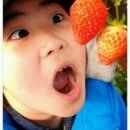 우리돈농장 이미지