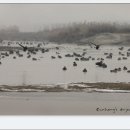 봉일천교 이미지