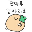 남양모터스 이미지
