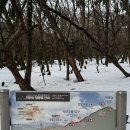 대야1로5번길 | ⛰️ㅣ제주 한라산 성판악 왕복코스 실패 후기