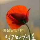 도곡사거리 이미지