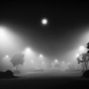 향기2로 이미지