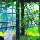 김용철화실미술학원