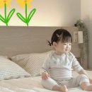 잠자리이불 - 평택시 서정역로47번길 20 | 잠자리이불