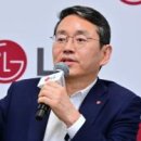 토마토여행사주 이미지
