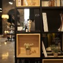 라비아 피트니스 이미지