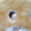 아트렌오감영재연구소