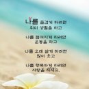 남원시청 이미지