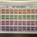 마이크로헤어증모 이미지