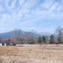 실상뜰 유정란 이미지