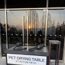 산전장수1길 | 충주 켄싱턴리조트 애견동반 숙소 추천 객실 예약 켄싱턴 스튜디오 펫