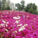 도장중학교 이미지