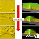 액정물질 승화현상 이용 '3차원 나노구조' 발견 이미지