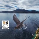 도야카 | 북해도 3박4일 2일차 - 쇼와신잔, 우스산 로프웨이, 도야호수, 크레미아 아이스크림 후기