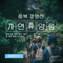 축령산휴양림 야영데크4구역 화장실 | 장령산 자연휴양림 물놀이장 명당 데크 위치 및 예약 꿀팁 4