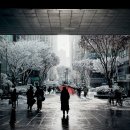 스테이무카 | 2024.12