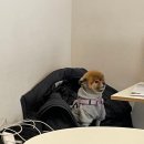 오알카페 이미지