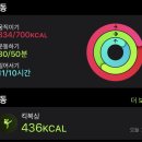 step 복싱 이미지