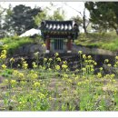 오상진 효자각 이미지