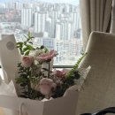 대룡샘 | 2026년 3월 하루들을 모아