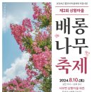 제2회 여름축제 이미지