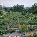 장수천농장 이미지