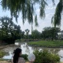 다이소 수원북문점 이미지