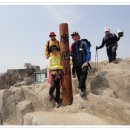 해명초교 이미지